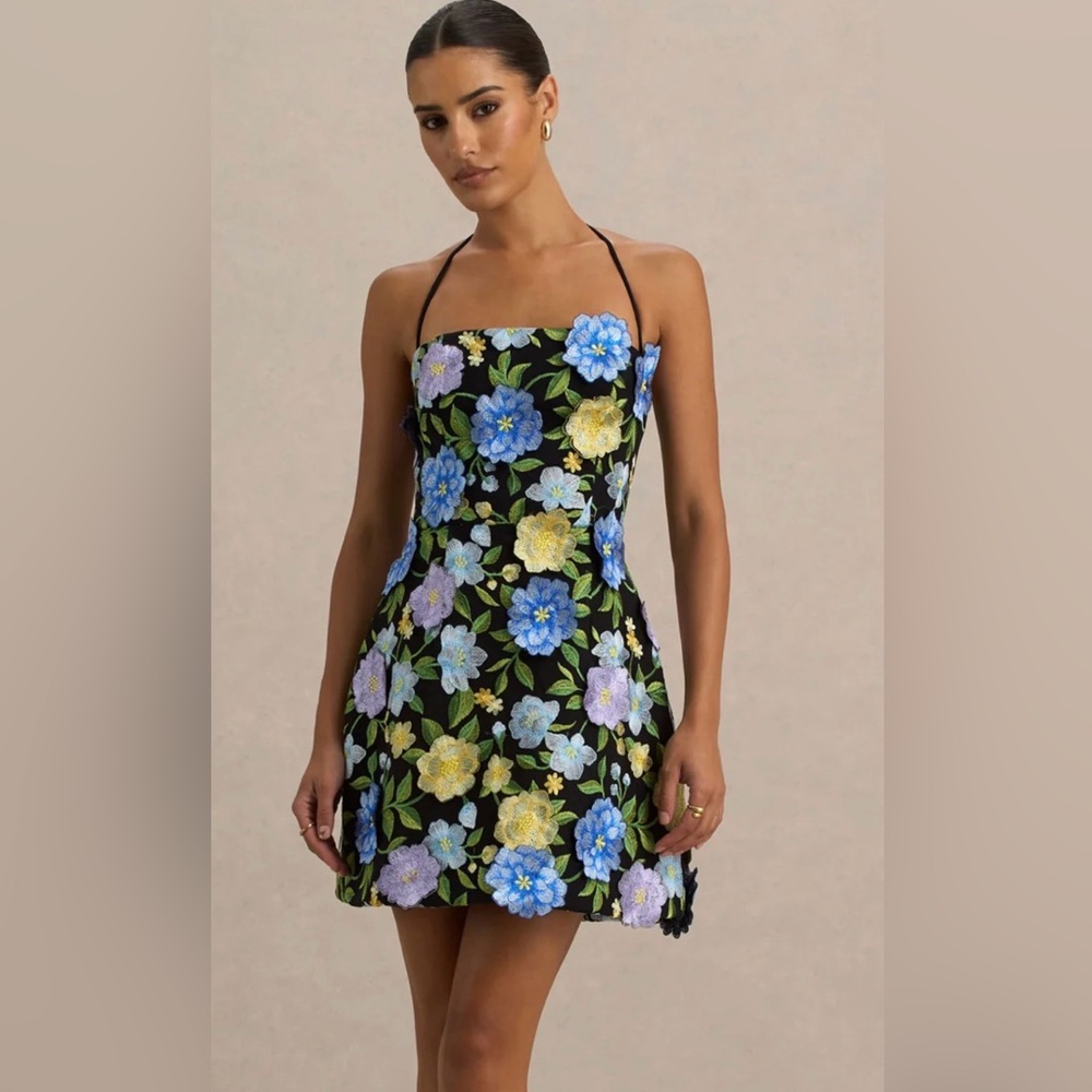 Club L London Embroidered Dress

Bundle 2 or more items for ~20% off